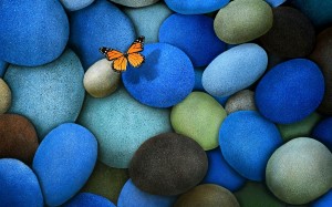 butterfly-wallpaper